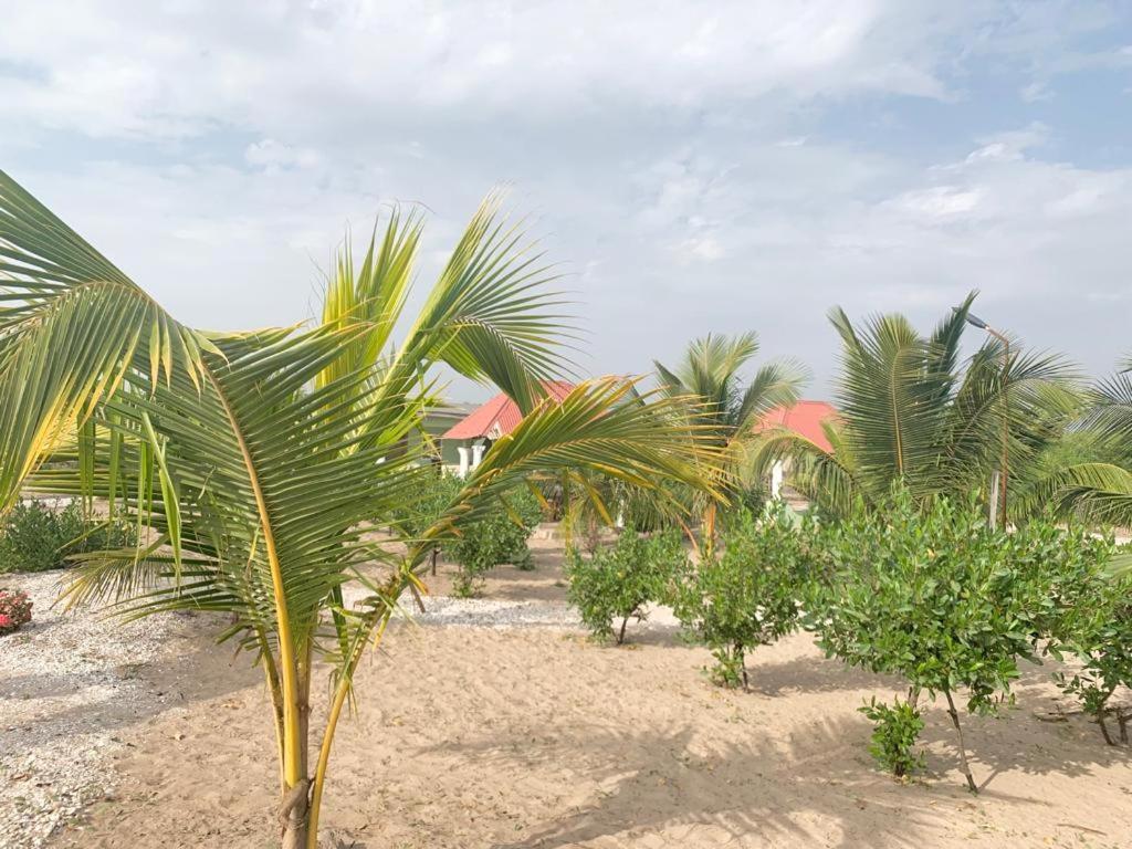 Bosofet Beach And Creek Lodge Sanyang Dış mekan fotoğraf